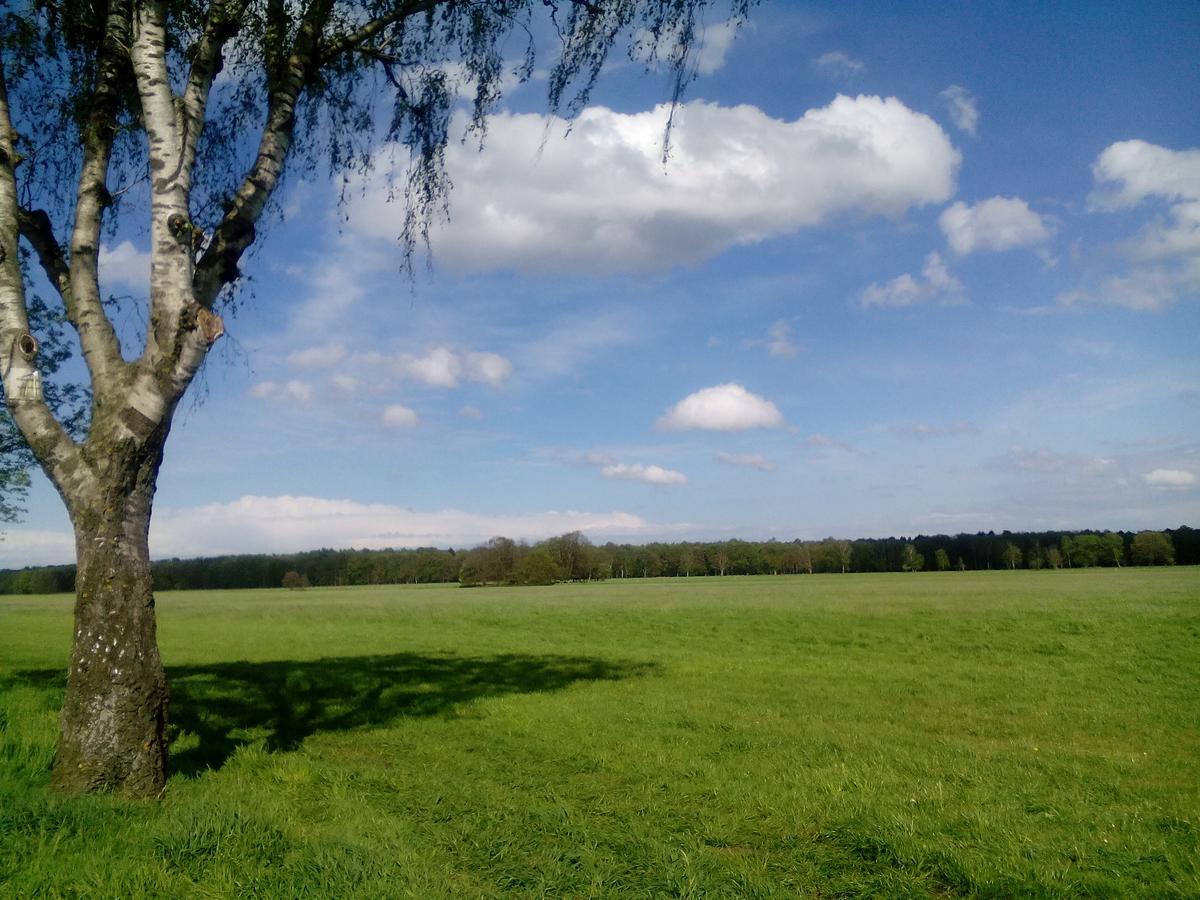 Hotel Restaurant Luetkebohmert Reken Esterno foto