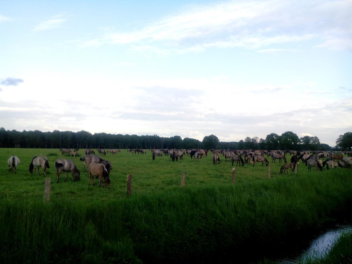 Hotel Restaurant Luetkebohmert Reken Esterno foto